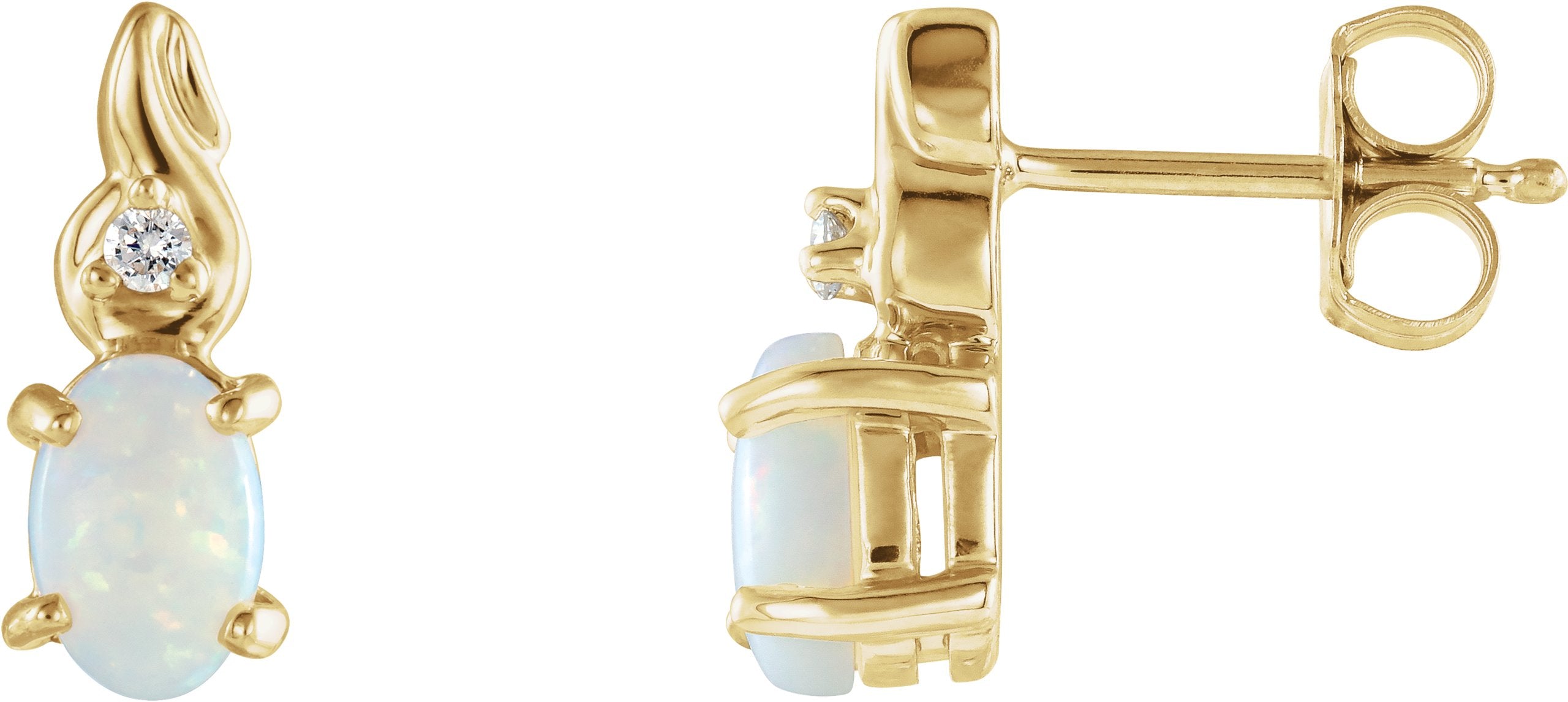 Accented Earrings