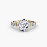 The Graduated Accent Ring